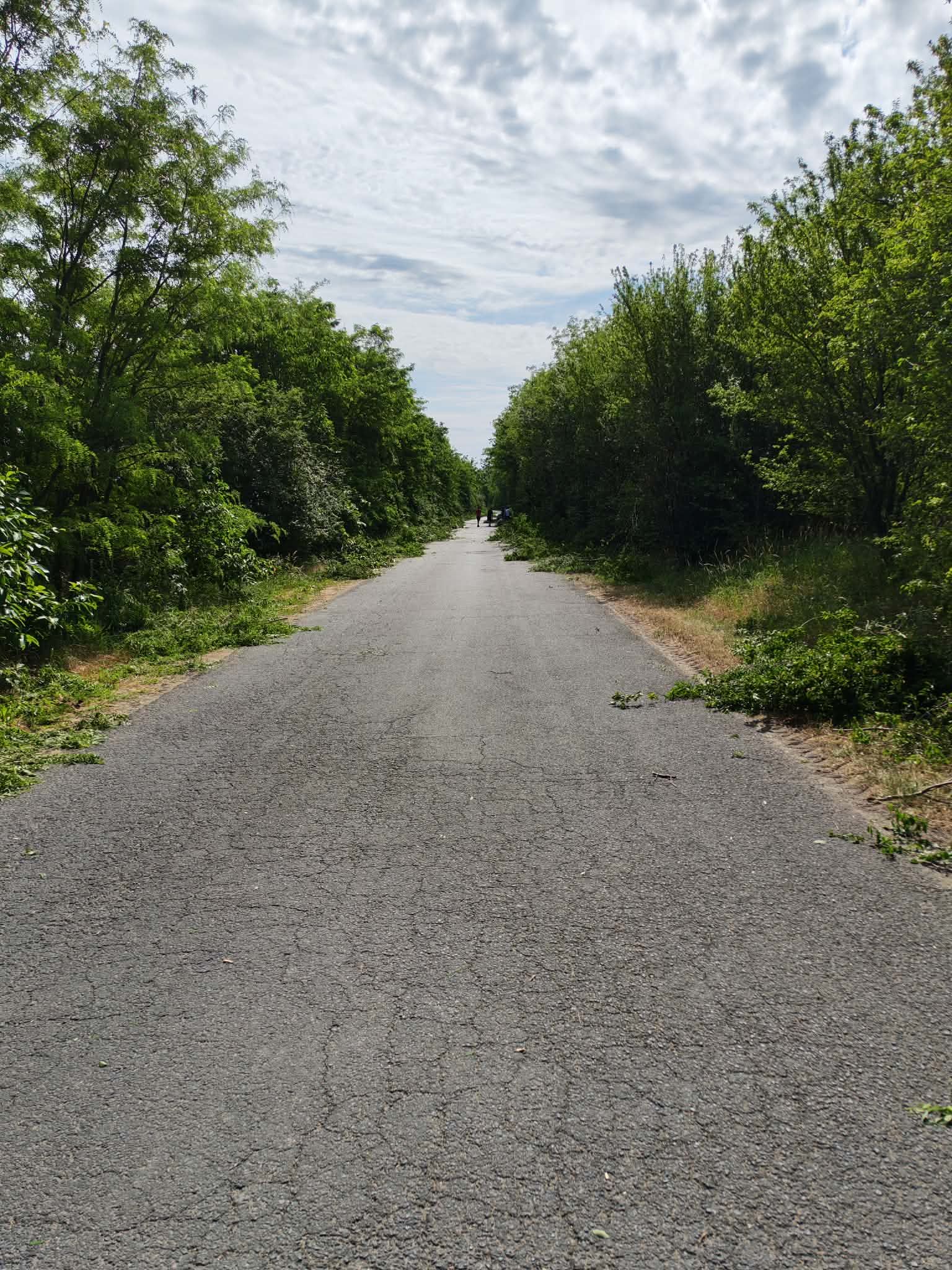 defcf1da-4850-4446-ba35-a16ca749df3f.jpeg