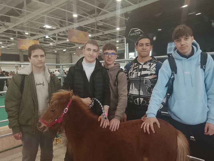 Szakma Sztár 2026 – Élmények a Hungexpón